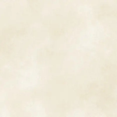 EVOLUTION IVO.60,5X60,5 1,46