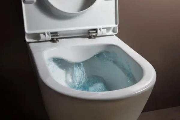 WC ŠOLJA KONZ.LAUFEN PRO RIML.