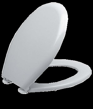 WC DASKA VIVA-S1